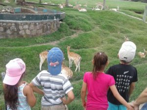 Hogar del bebé - Actividades